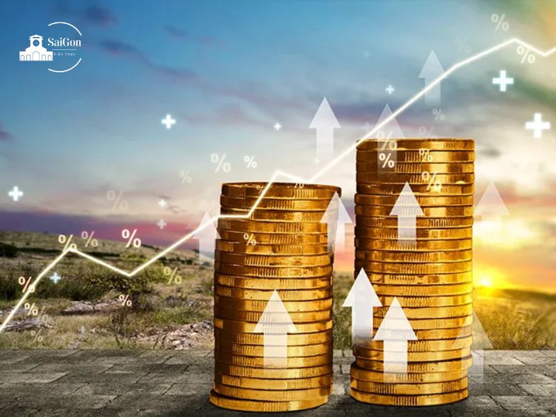 Các Quỹ Đầu Tư Tại Việt Nam