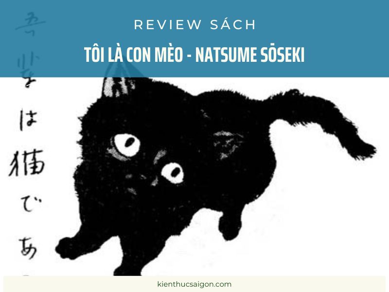 Sách Tôi là con mèo